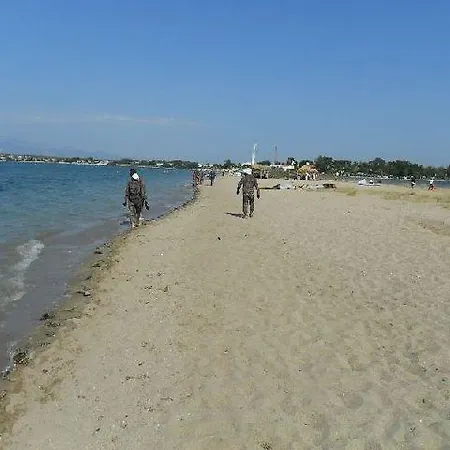 Apartments Nin Nin